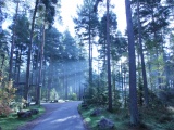 Tn IMG 1416